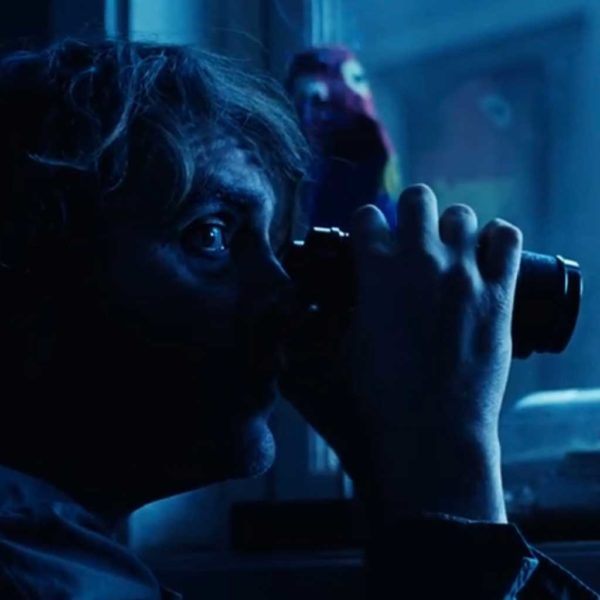 Inherent Vice (2014) – Paul Thomas Anderson