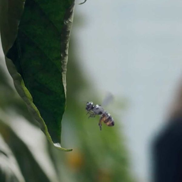 ‚Hated In The Nation‘ (2016) Black Mirror: 03×06 James Hawes