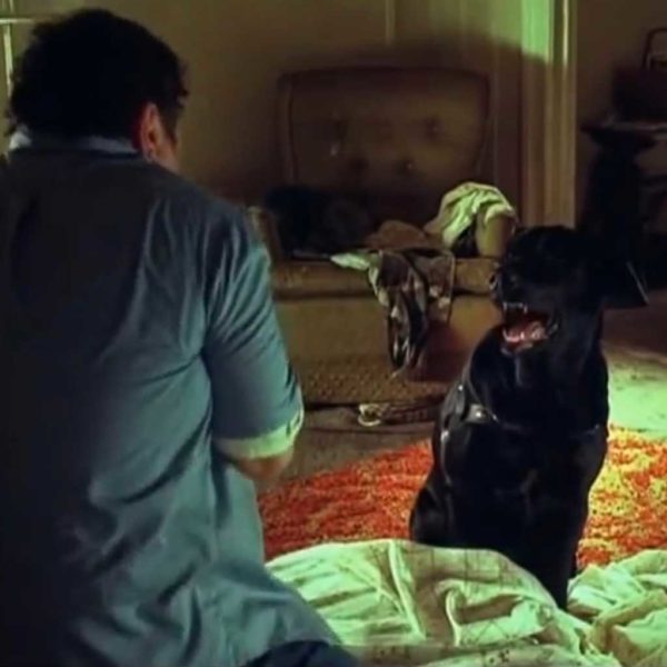 Summer of Sam (1999) – Spike Lee