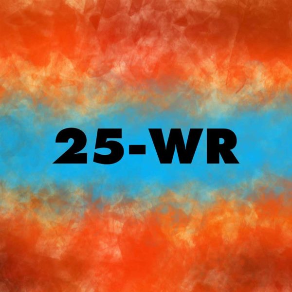 Twenty-Five Word Reviews a Day for Twenty-Five Days Challenge – Day 2