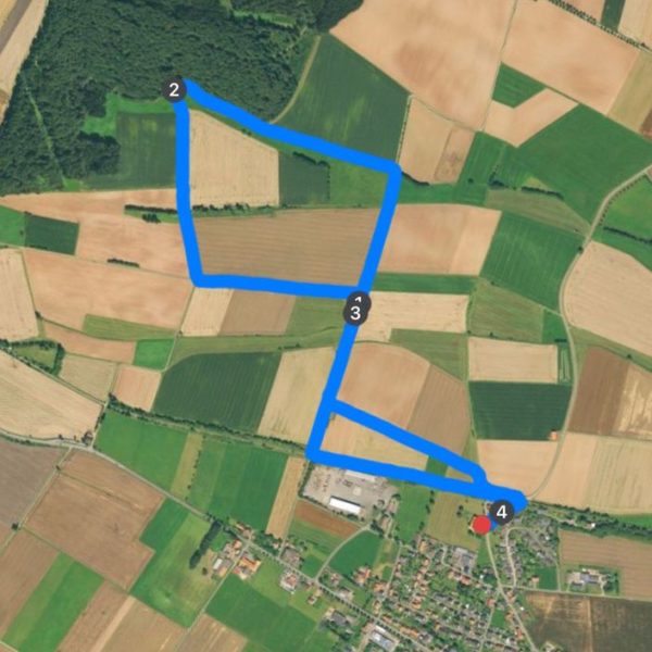 4km-Neujahrslauf (2019) – Meineringhausen, Hessen. Deutschland.