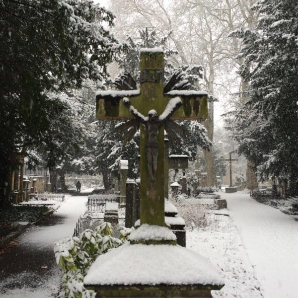 Alter Friedhof – Bonn, Germany