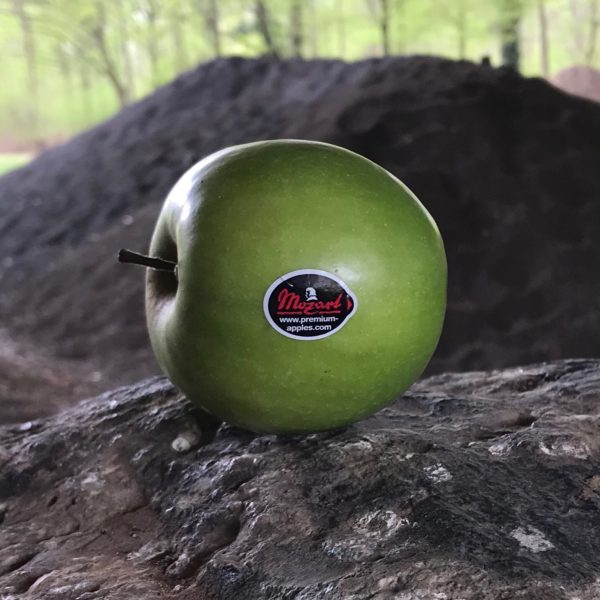 Green Apple – Mozart