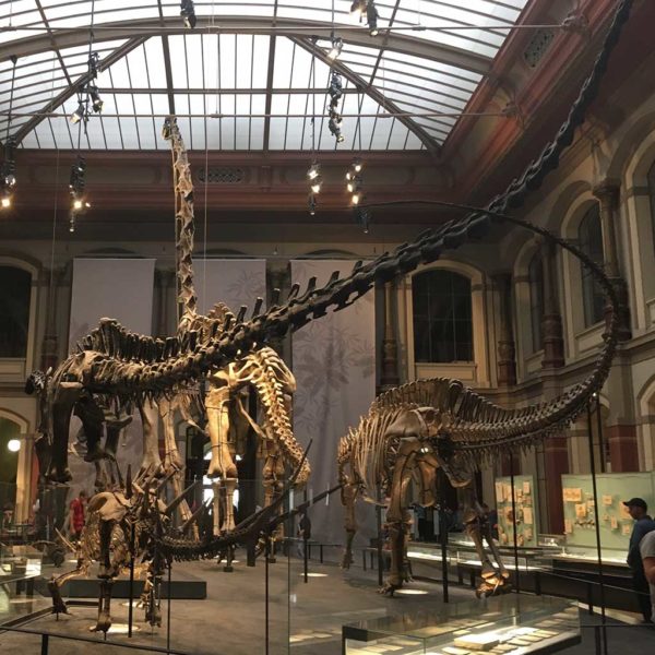 Museum für Naturkunde – Berlin, Germany